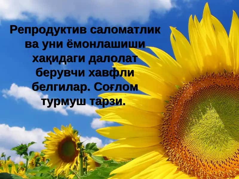 Reproduktiv salomatlik va uni yamonlashishi xaqidagi dalolat beruvchi xavfli belgilar. Sog'lom turmush tarzi. 1