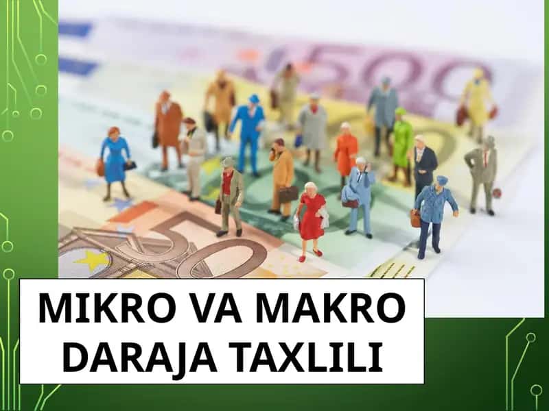 MIKRO VA MAKRO DARAJA TAXLILI 1