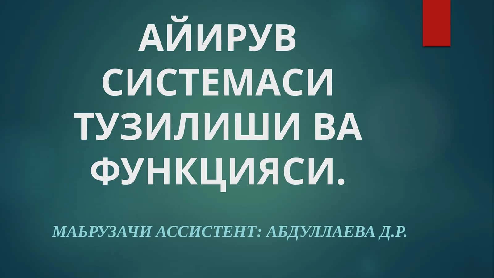 АЙИРУВ СИСТЕМАСИ ТУЗИЛИШИ ВА ФУНКЦИЯСИ 1
