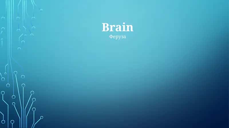 Miya (Brain) 1
