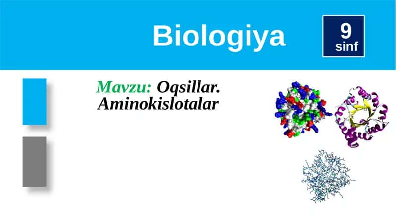 Oqsillar.Aminokislotalar 1