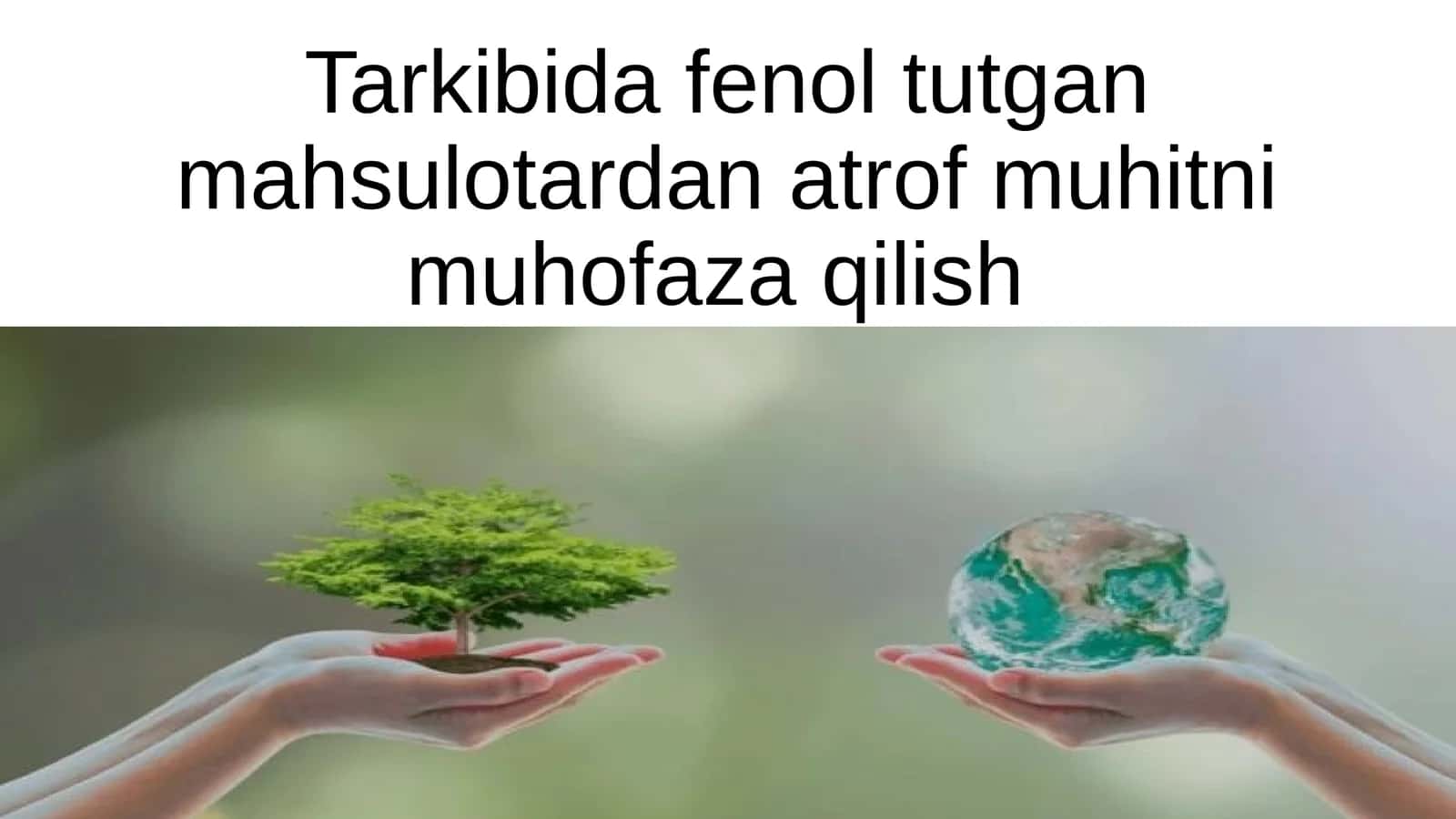 Tarkibida fenol tutgan mahsulotardan atrof muhitni muhofaza qilish 1