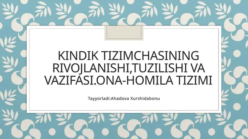 Kindiktizimchasiningrivojlanishi,tuzilishivavazifasi.Ona-homilatizimi 1