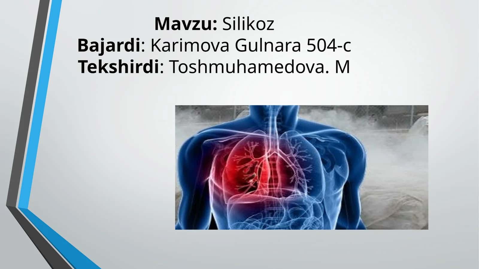 Silikoz 1