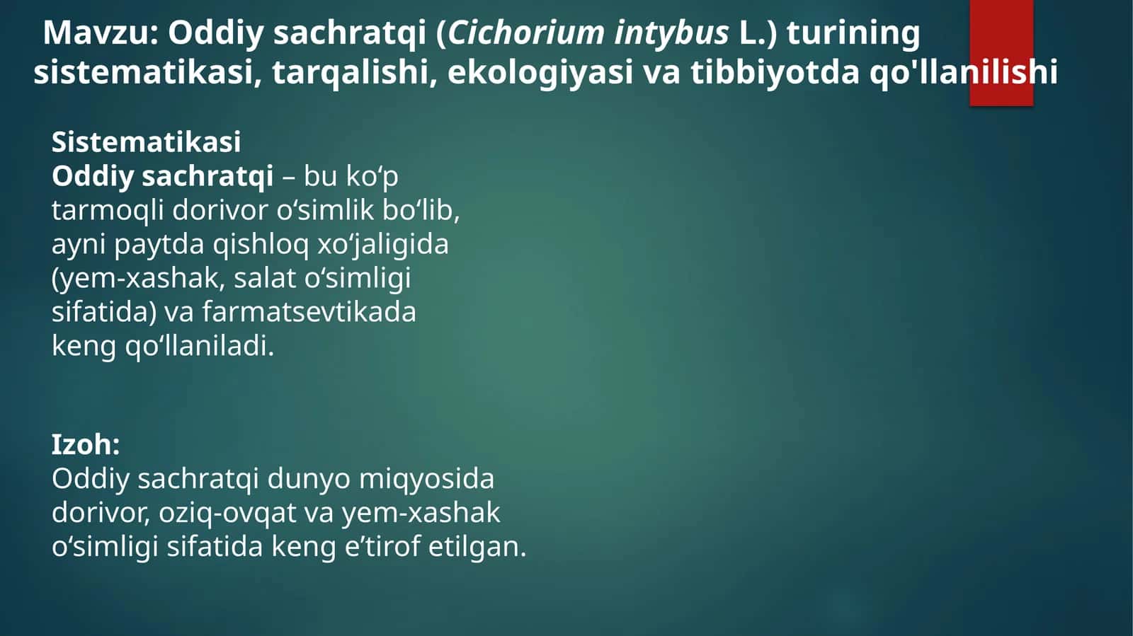 Oddiys achratqi (Cichorium intybus L.) turining sistematikasi, tarqalishi, ekologiyasi va tibbiyotda qo'llanilishi 1