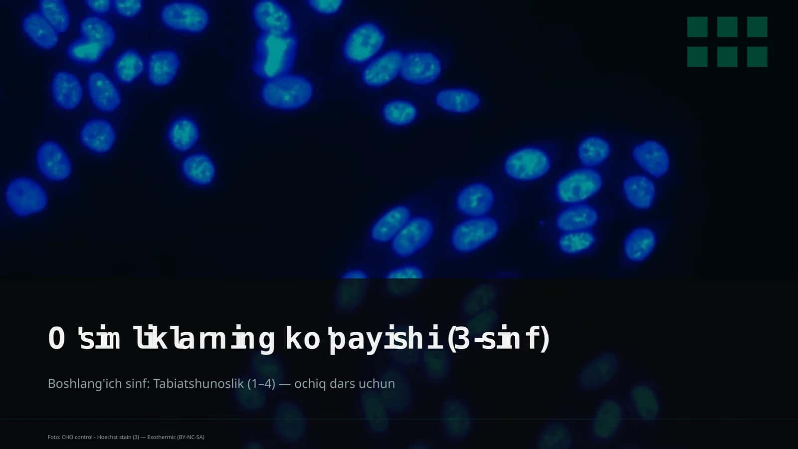 O'simliklarning ko'payishi (3-sinf) 1