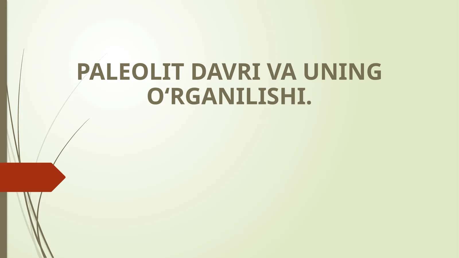 Paleolit doirasida madaniy hayot 1