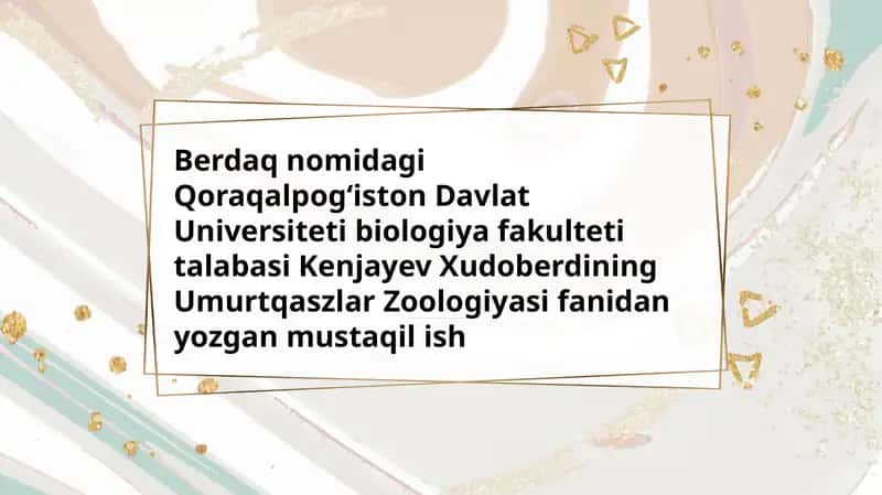 Miksosporidiyalar-muxozoa 1