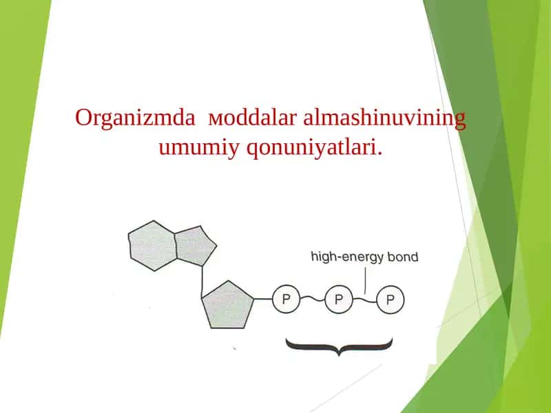 Organizmda moddalar almashinuvi (mətabolizm) 1