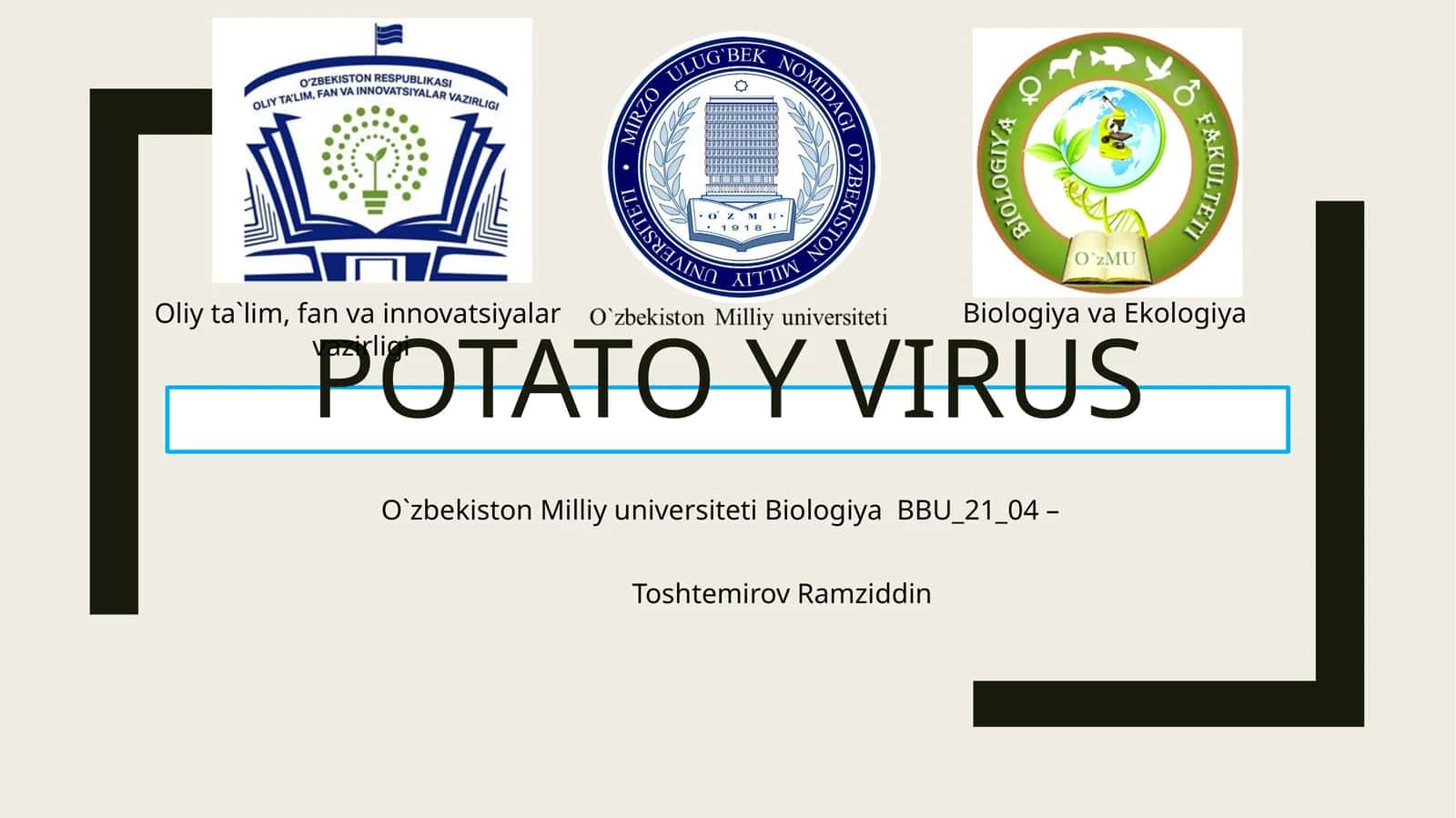 Kartoshka Y virusi 1