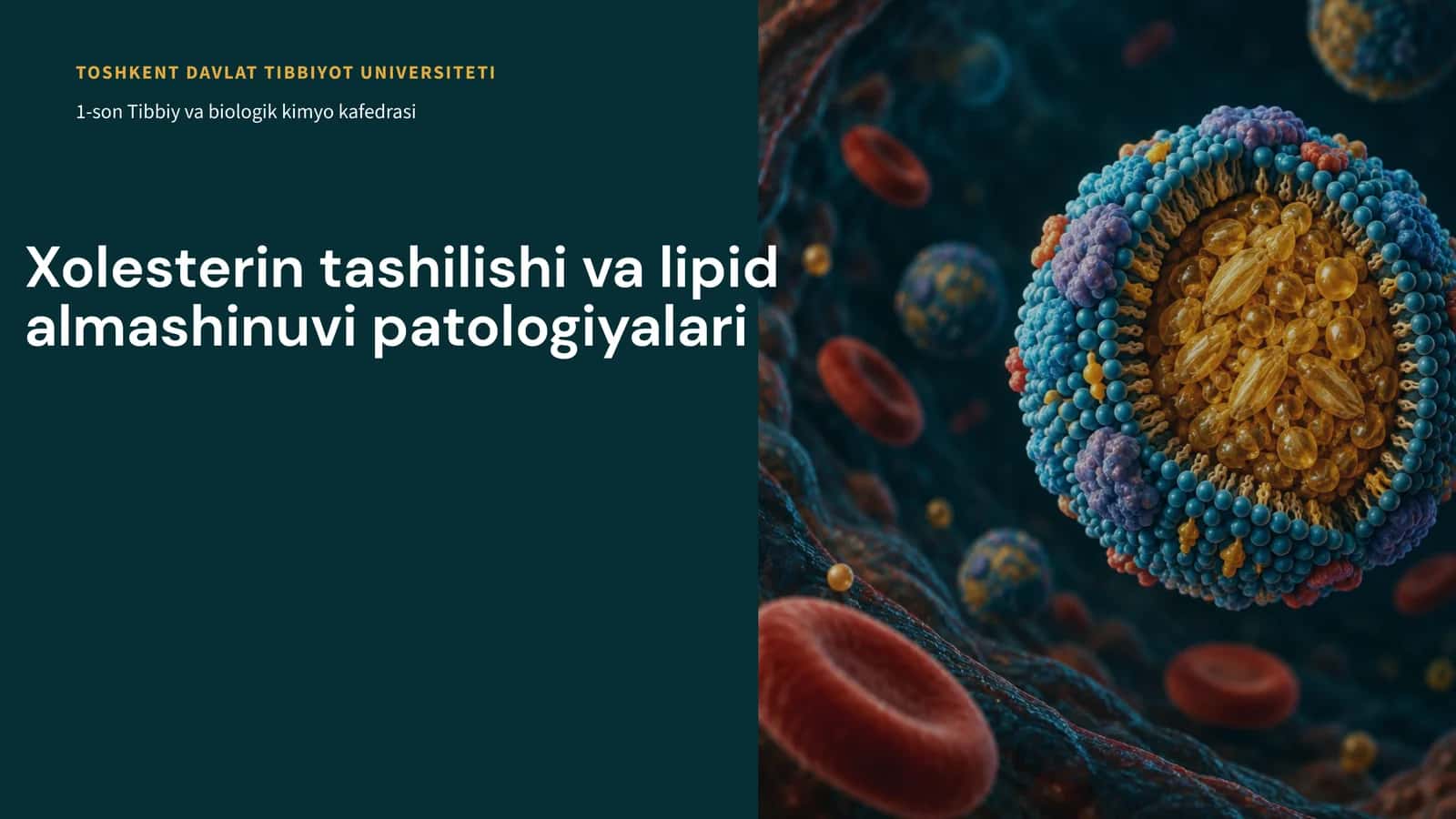 Xolesterintashilishivalipidalmashinuvipatologiyalari 1