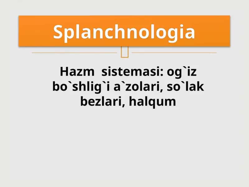 Hazm  sistemasi: og`iz bo`shlig`i a`zolari, so`lak bezlari, halqum 1