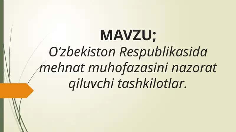 O‘zbekiston Respublikasida mehnat muhofazasini nazorat qiluvchi tashkilotlar. 1