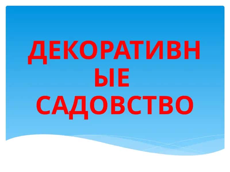 ДЕКОРАТИВНЫЕ САДОВСТВО 1