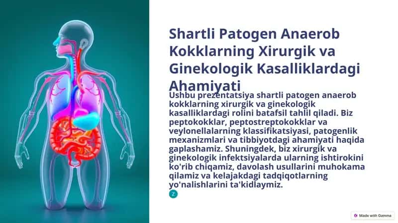 Shartli Patogen Anaerob Kokklarning Xirurgik va Ginekologik Kasalliklardagi Ahamiyati 1