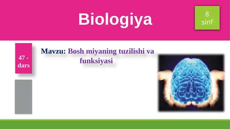 Boshmiyaning tuzilishi va funksiyasi 1