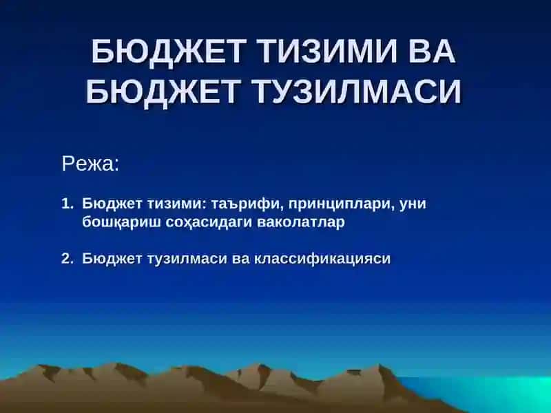 Бюджет тизими 1
