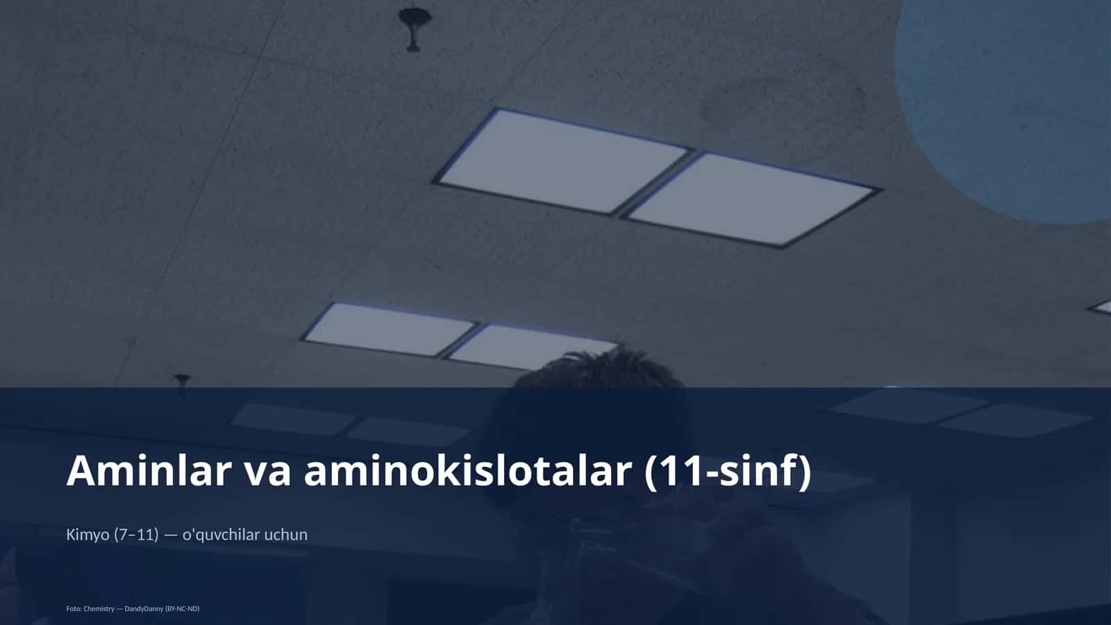 Aminlar va aminokislotalar (11-sinf) 1