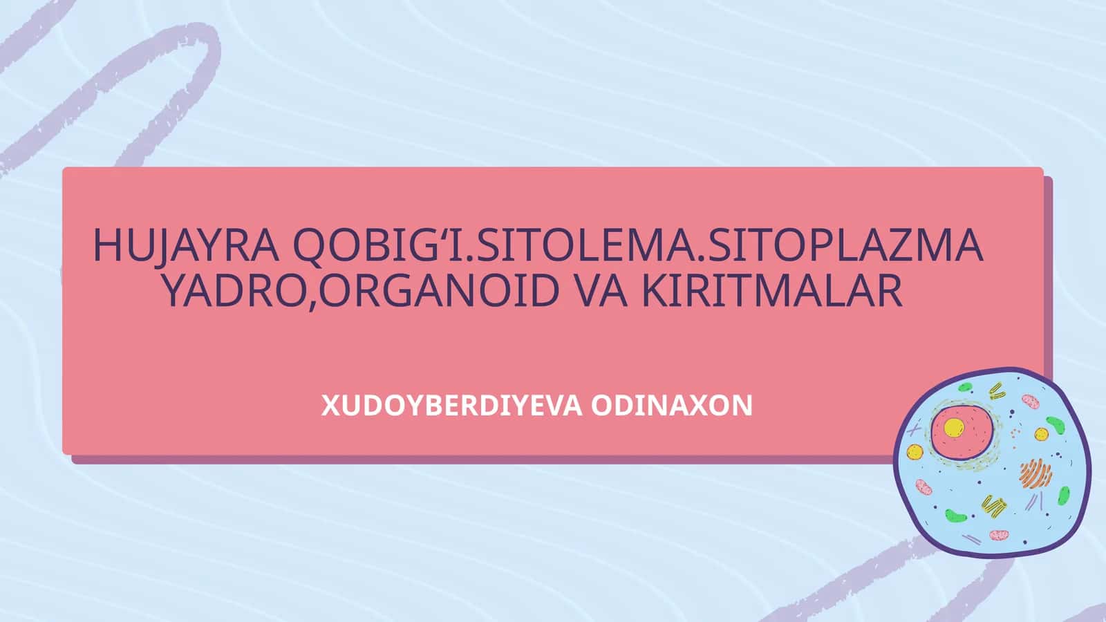 HUJAYRA QOBIG‘I.SITOLEMA.SITOPLAZMA YADRO,ORGANOID VA KIRITMALAR 1