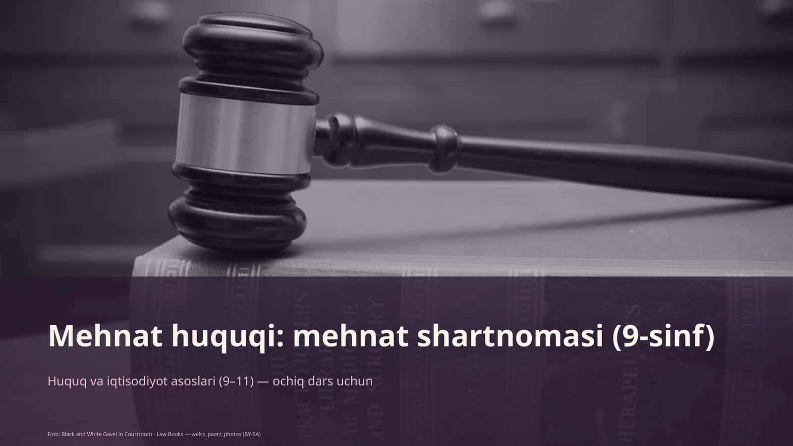 Mehnat huquqi: mehnat shartnomasi (9-sinf) 1