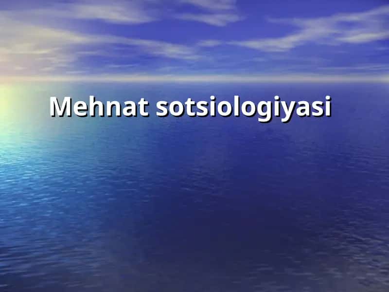 Mehnat sotsiologiyasi 1