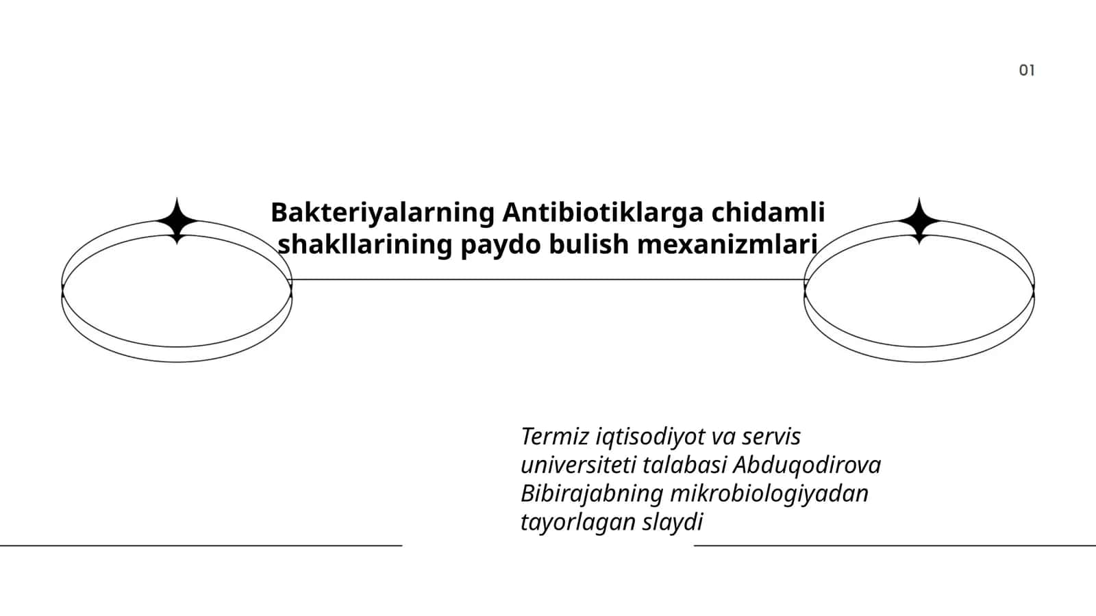 Bakteriyalarning Antibiotiklarga chidamli shakllarining paydo bulish mexanizmlari 1