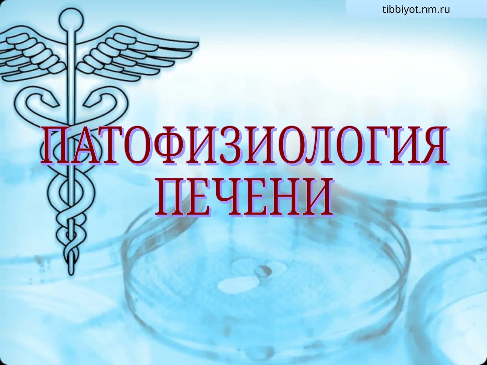 ПАТОФИЗИОЛОГИЯ 1
