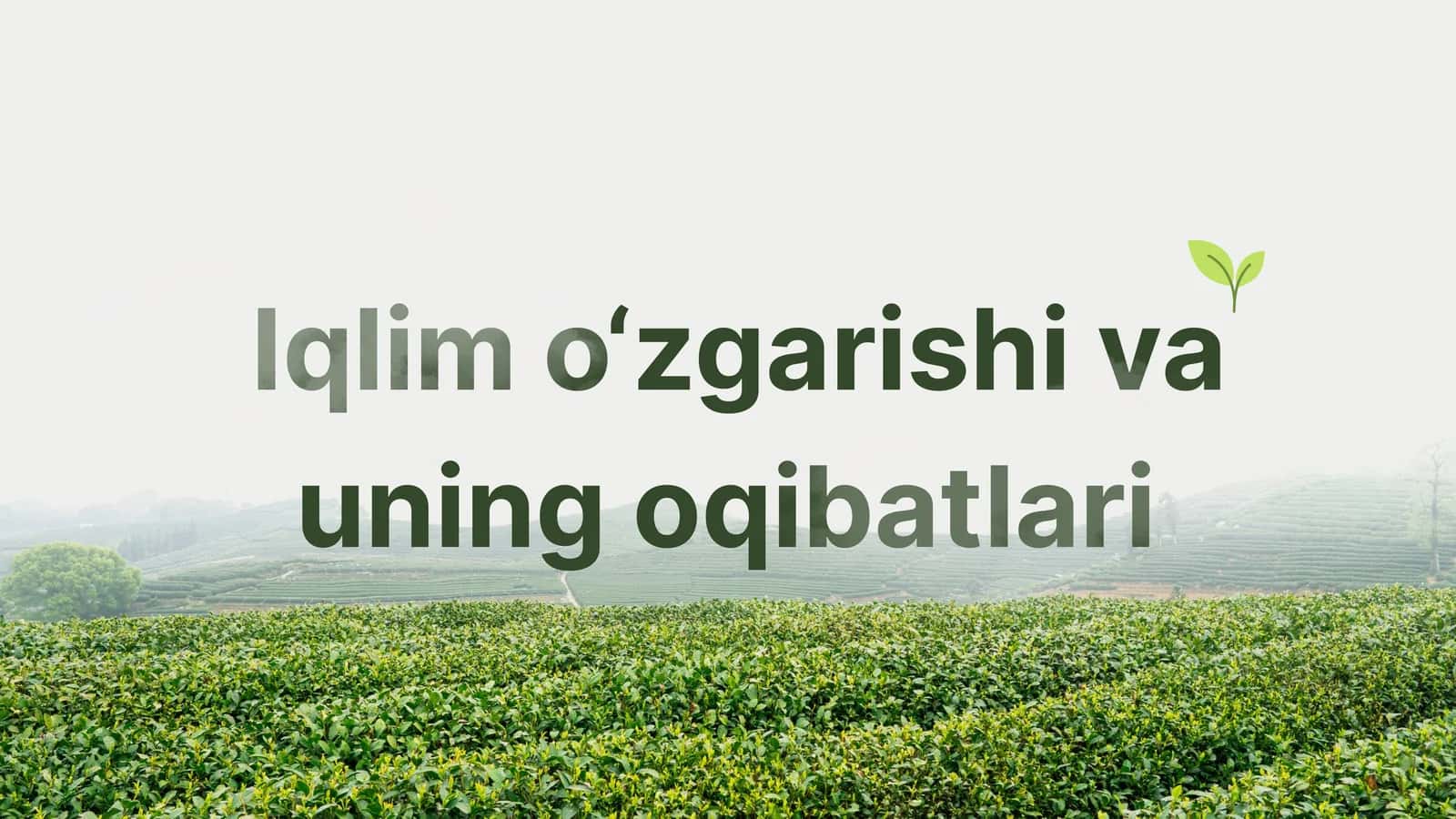 Iqlim o'zgarishi va uning oqibatlari 1
