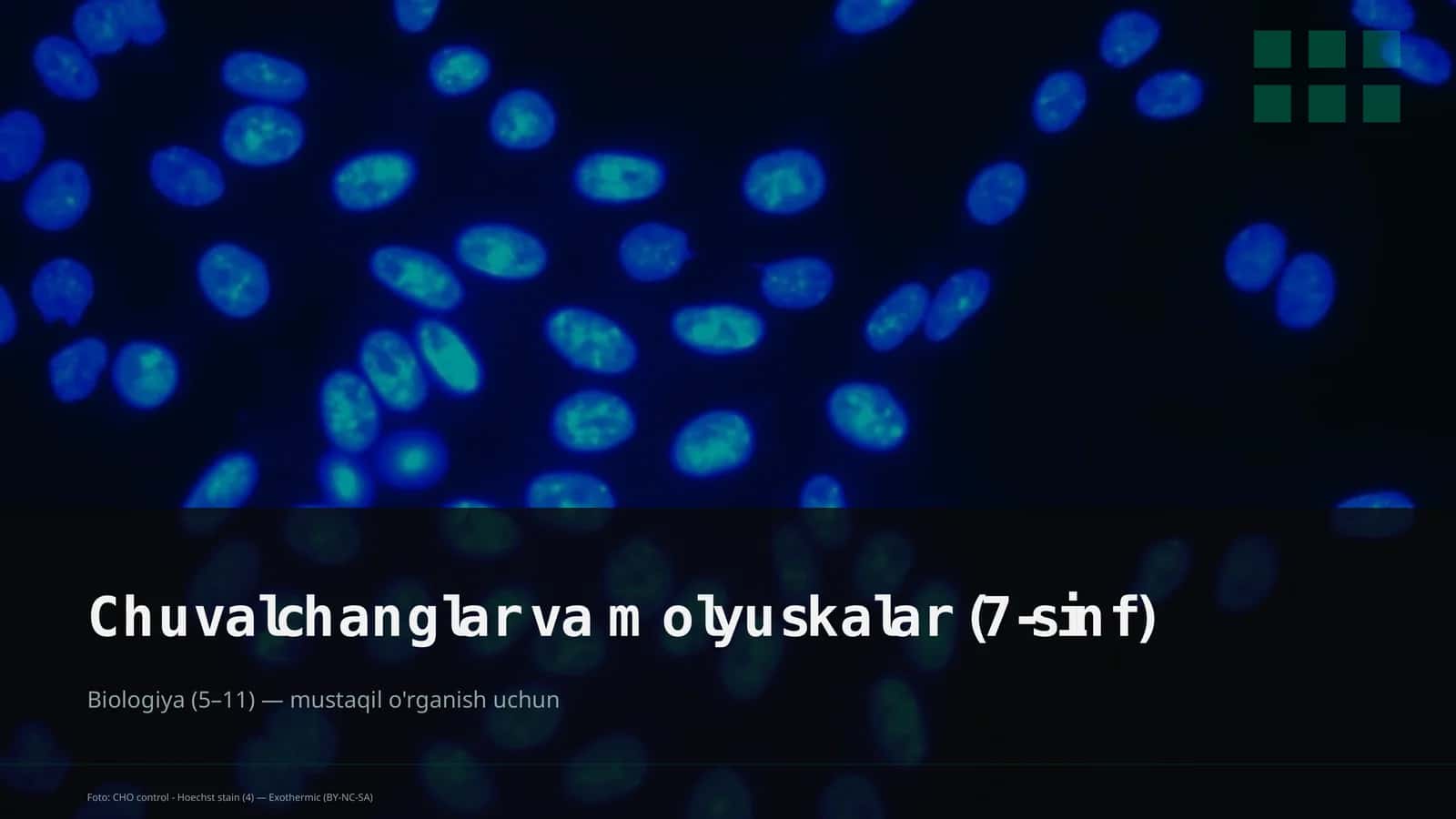 Chuvalchanglar va molyuskalar (7-sinf) 1