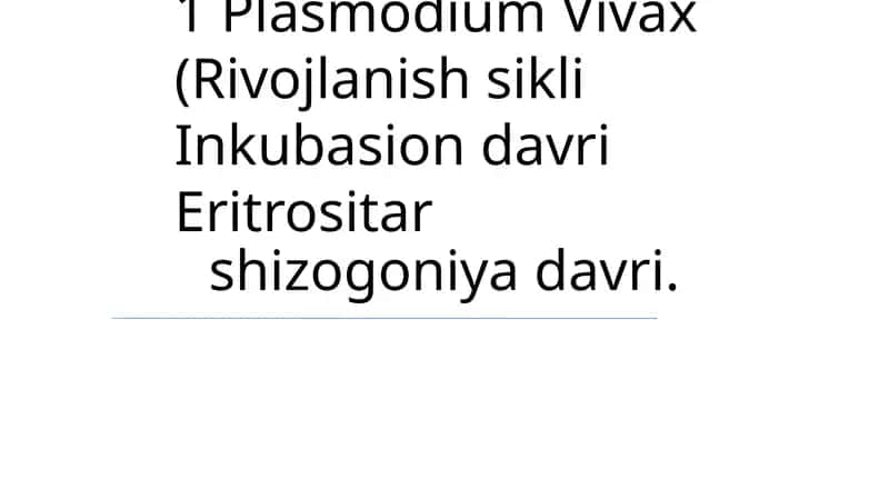 Plasmodium Vivax 1