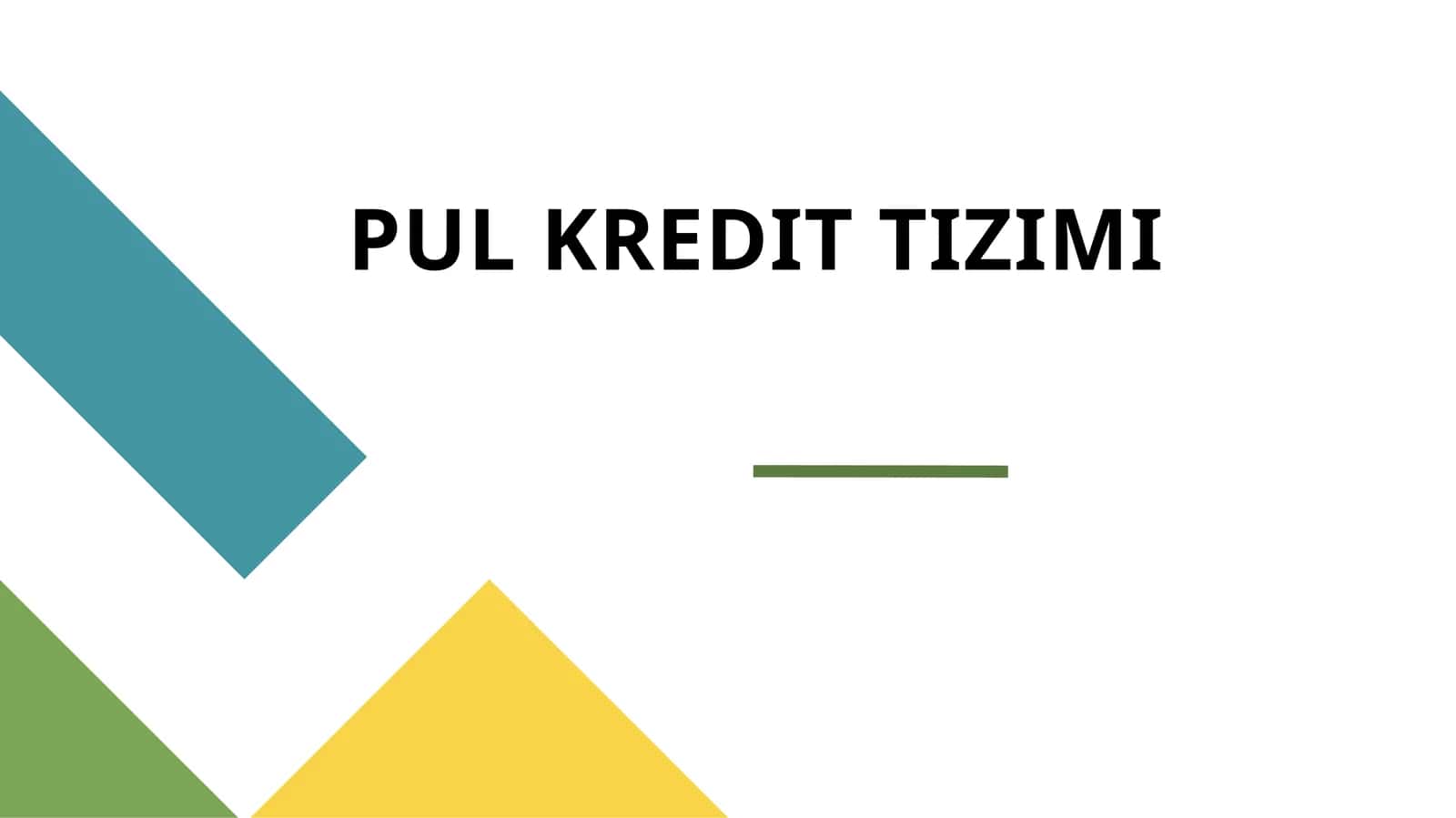 PUL KREDIT TIZIMI 1