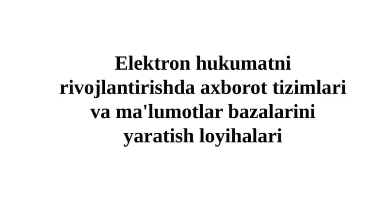 Elektron Hukumat va Axborot Tizimlari 1