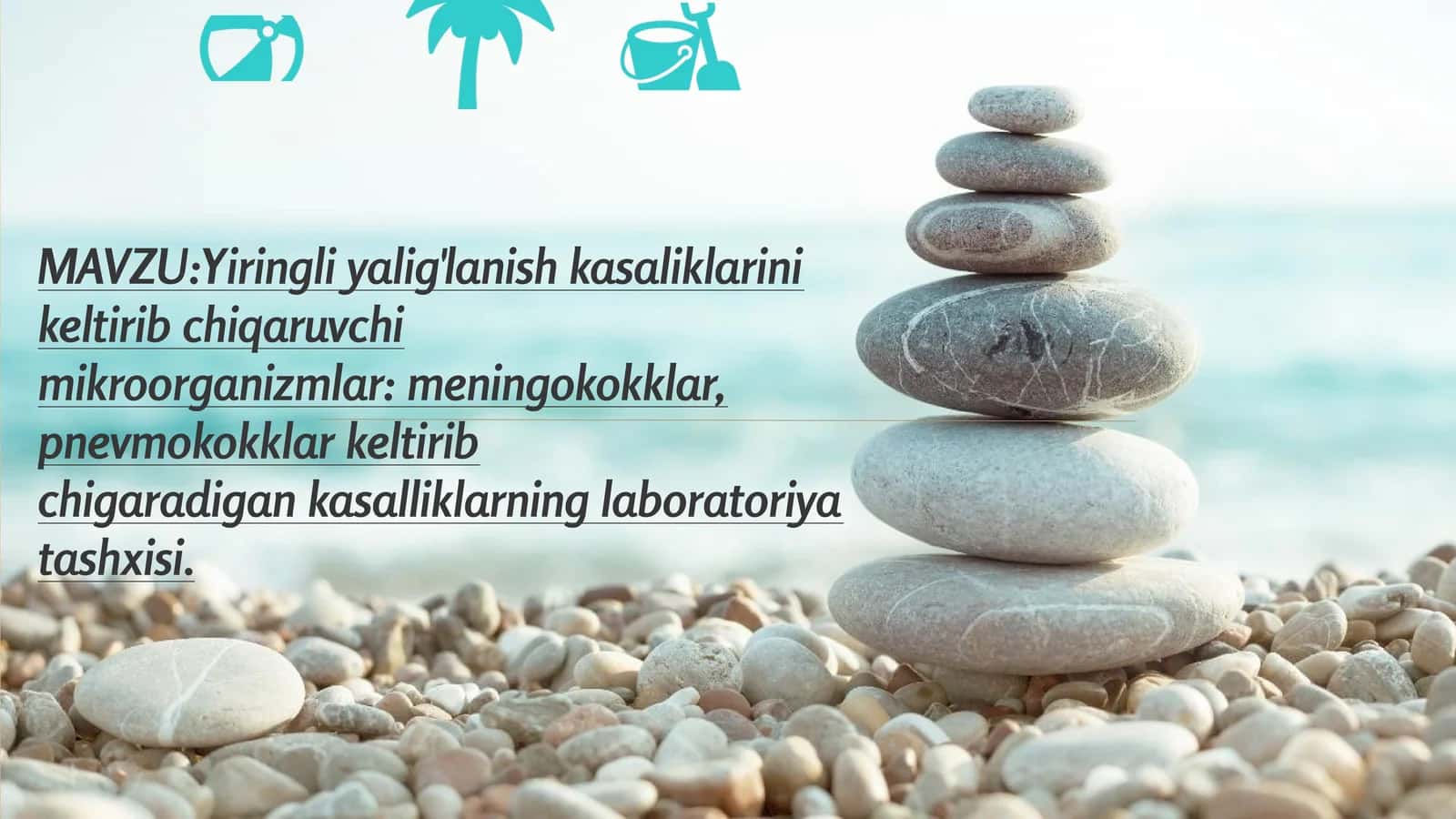 Meningokokklar va Pnevmokokklar kasalliklarining laboratoriya tashxisi 1