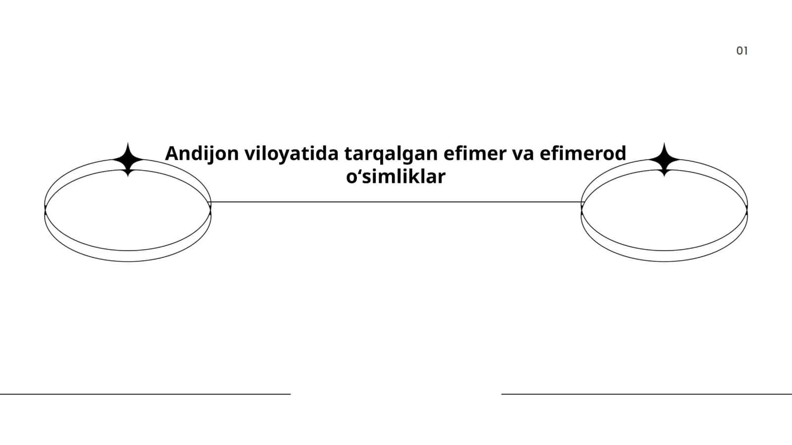 Andijon viloyatida tarqalgan efimer va efimerod oʻsimliklar 1