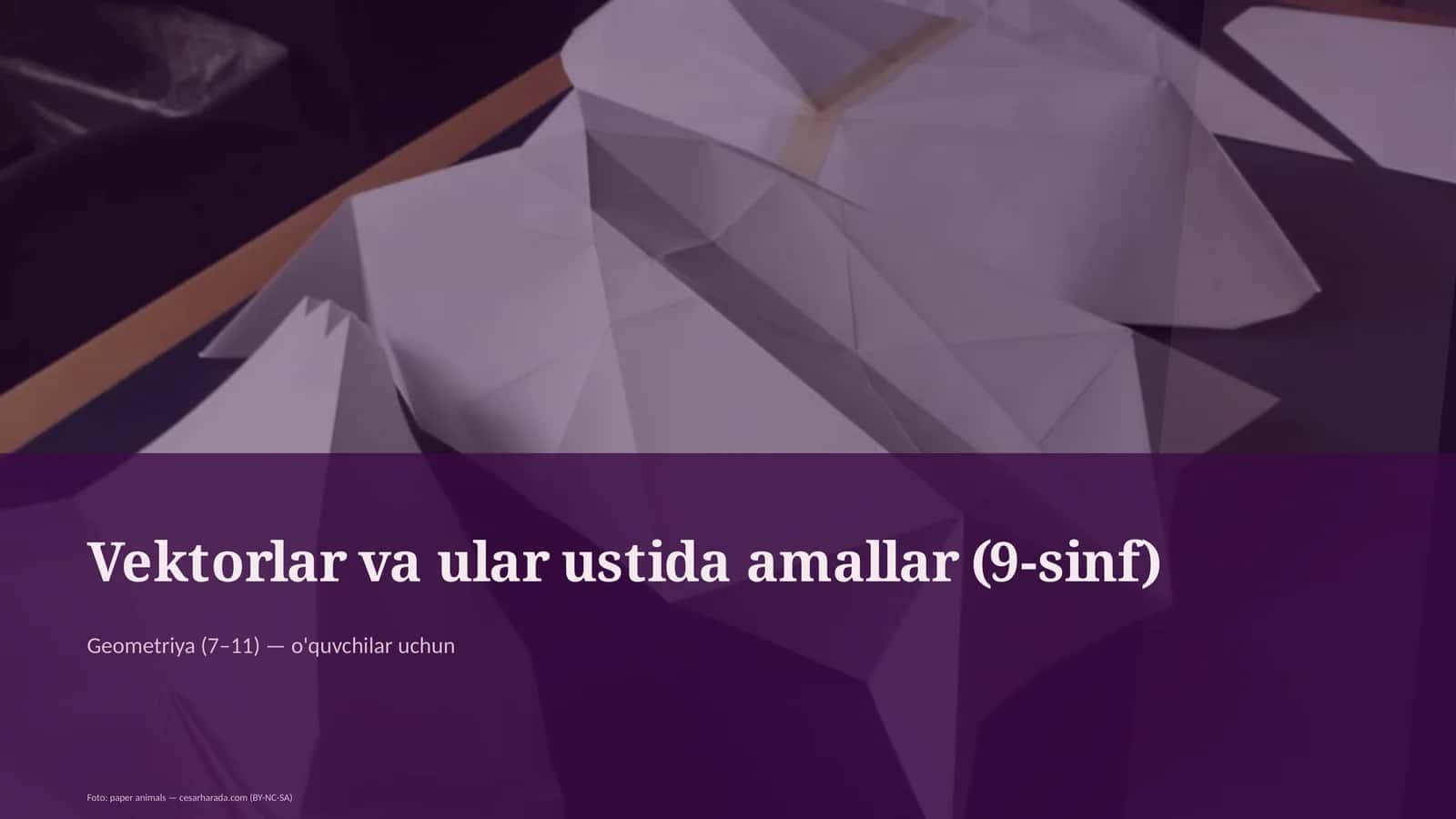 Vektorlar va ular ustida amallar (9-sinf) 1