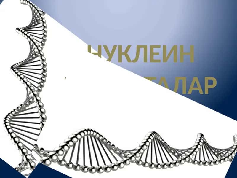 Нуклеин кислоталар 1