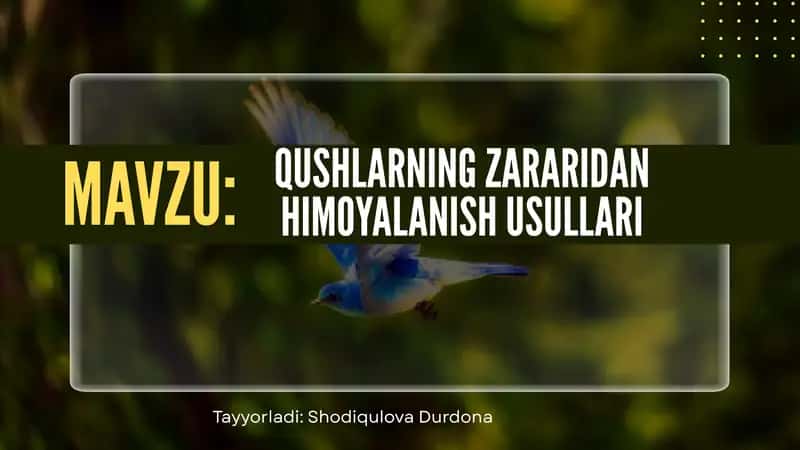 Qushlarning Zararidan Himoyalash Usullari 1