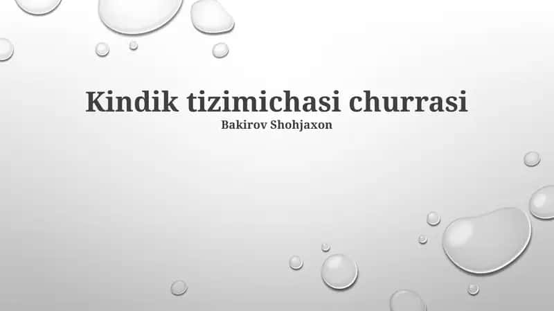 Kindik tizimichasi churrasi 1