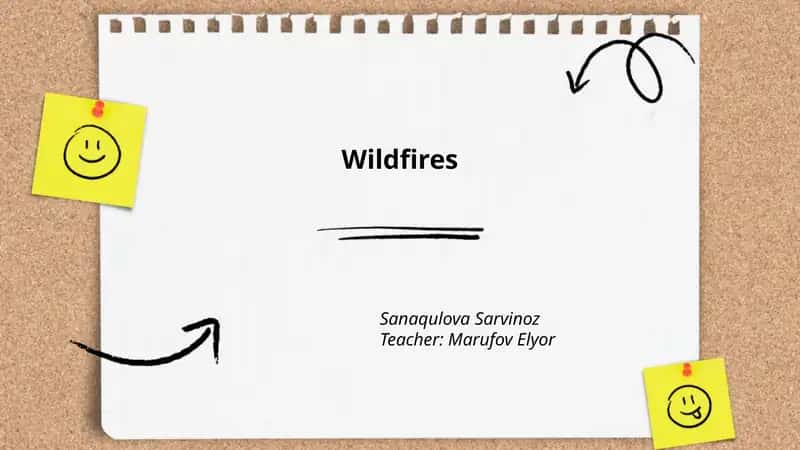 Wildfires 1