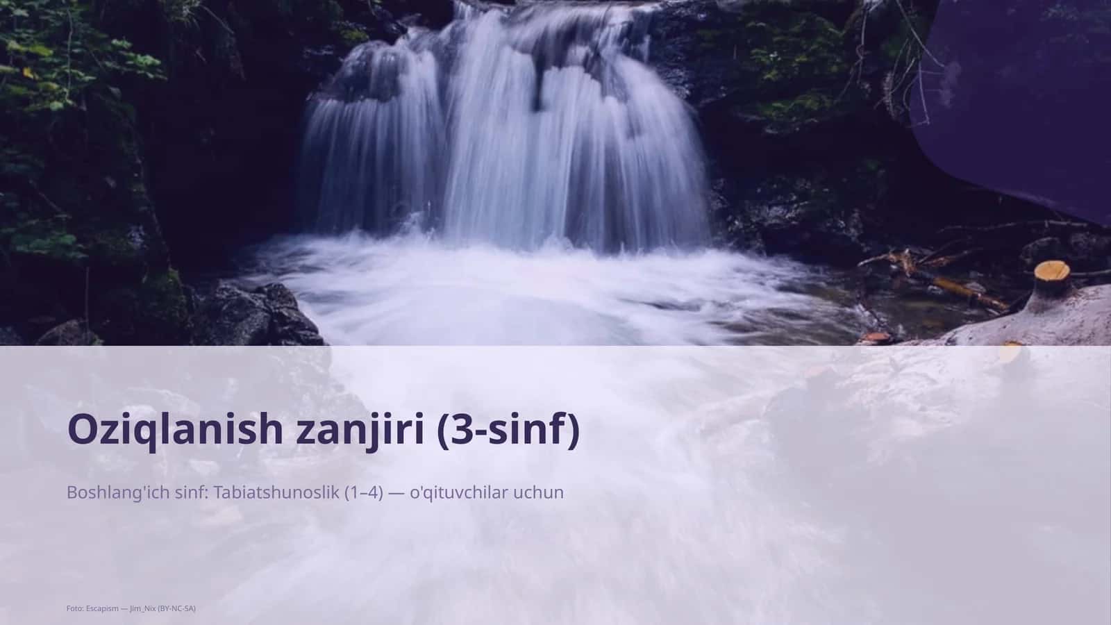 Oziqlanish zanjiri (3-sinf) 1