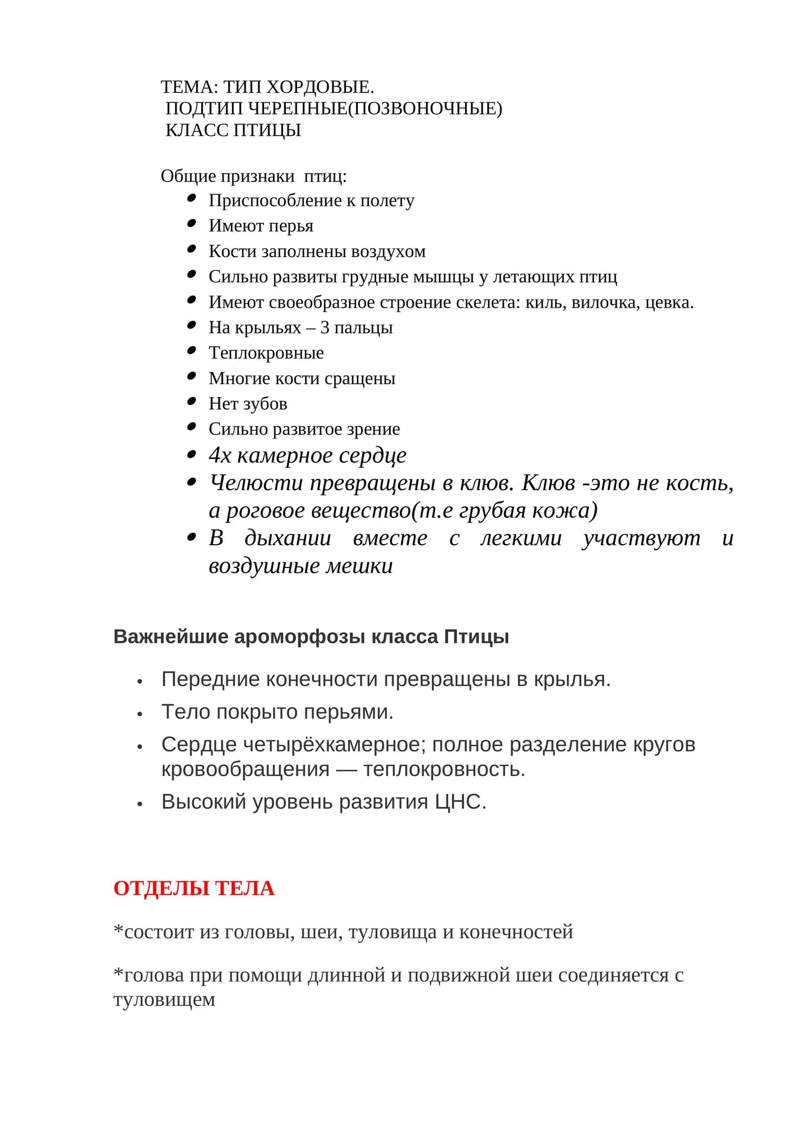 Птицы 1