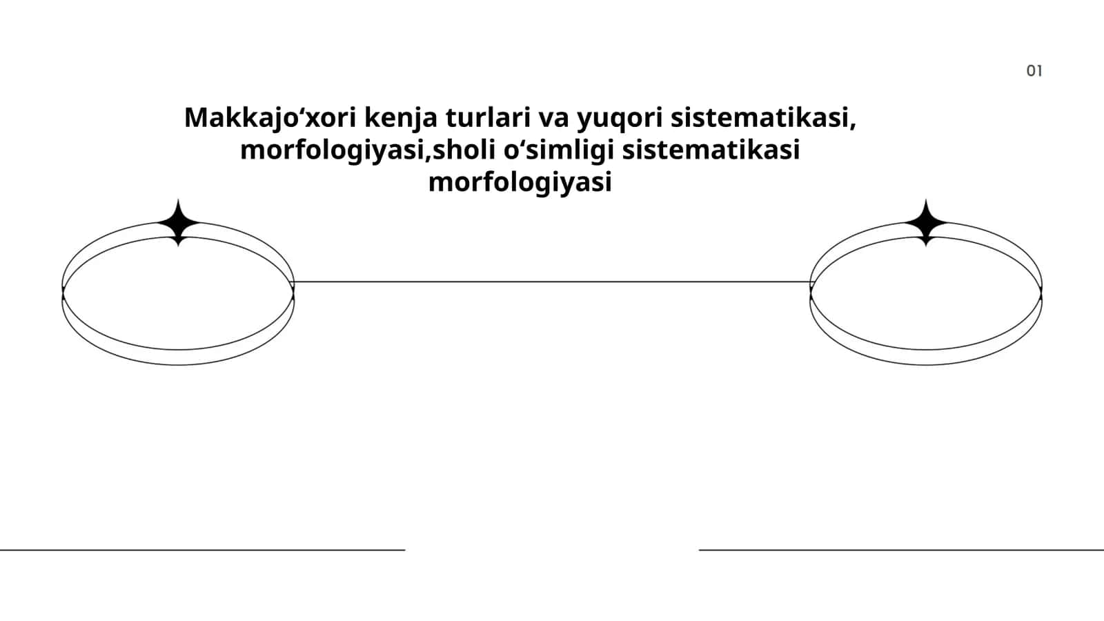 Makkajoʻxori kenja turlari va yuqori sistematikasi, morfologiyasi,sholi oʻsimligi sistematikasi morfologiyasi 1