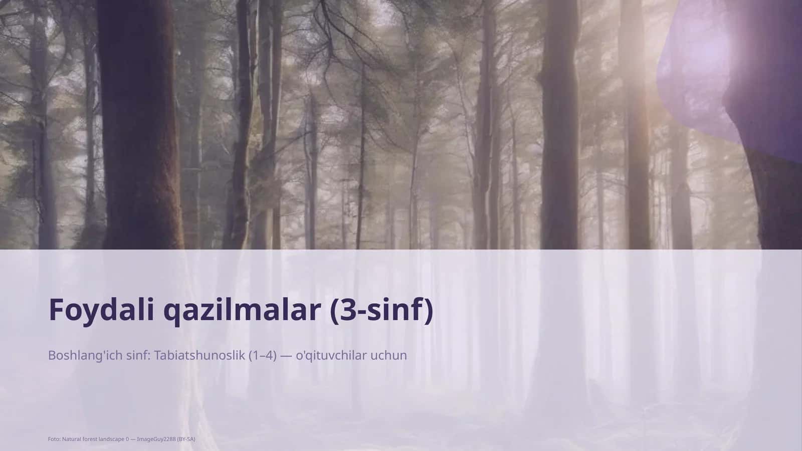 Foydali qazilmalar (3-sinf) 1