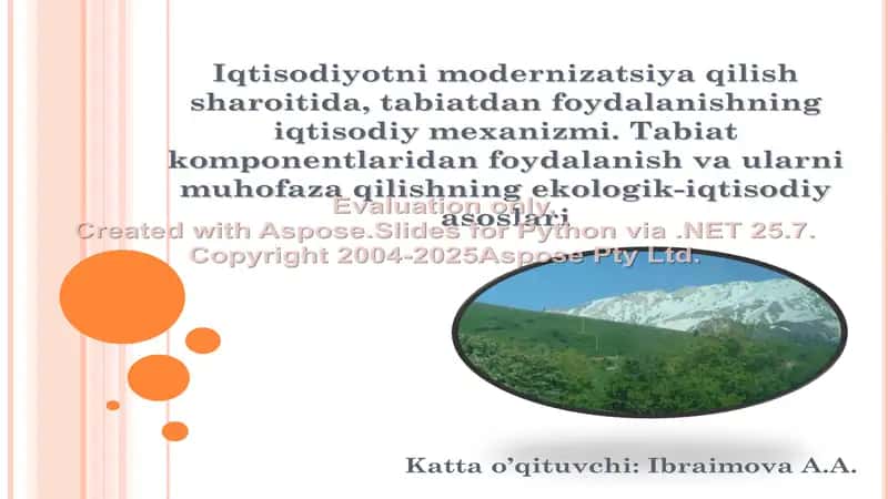 Iqtisodiyotni modernizatsiya qilish sharoitida, tabiatdan foydalanishning iqtisodiy mexanizmi. Tabiat komponentlaridan foydalanish va ularni muhofaza qilishning ekologik-iqtisodiy asoslari 1