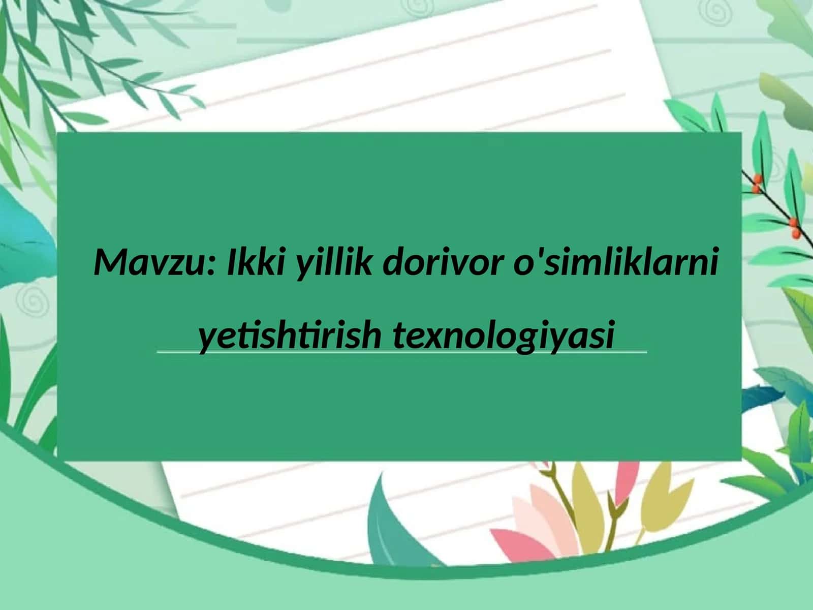 Ikki yillik dorivor o'simliklarni yetishtirish texnologiyasi 1