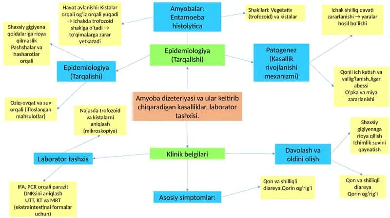Amyoba dizeteriyasi va ular keltirib chiqaradigan kasalliklar 1