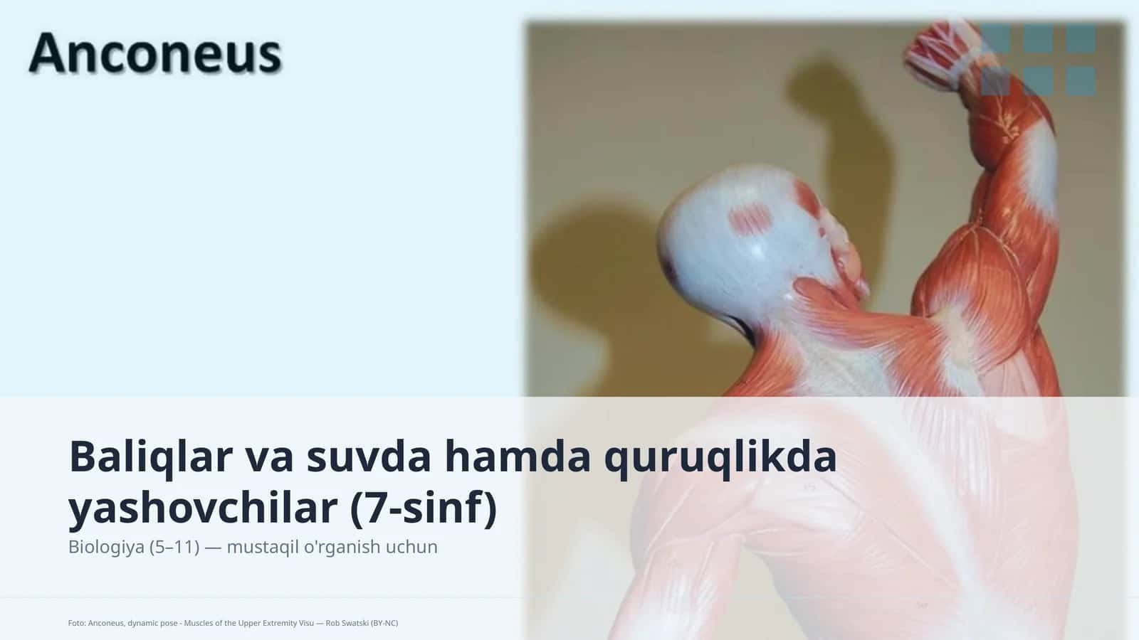 Baliqlar va suvda hamda quruqlikda yashovchilar (7-sinf) 1