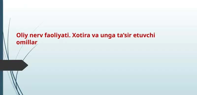 Oliy nerv faoliyati. Xotira va unga ta’sir etuvchi omillar 1