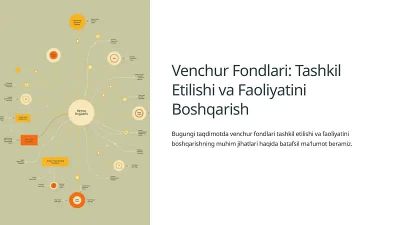 Venchur Fondlari: Tashkil Etilishi va Faoliyatini Boshqarish 1