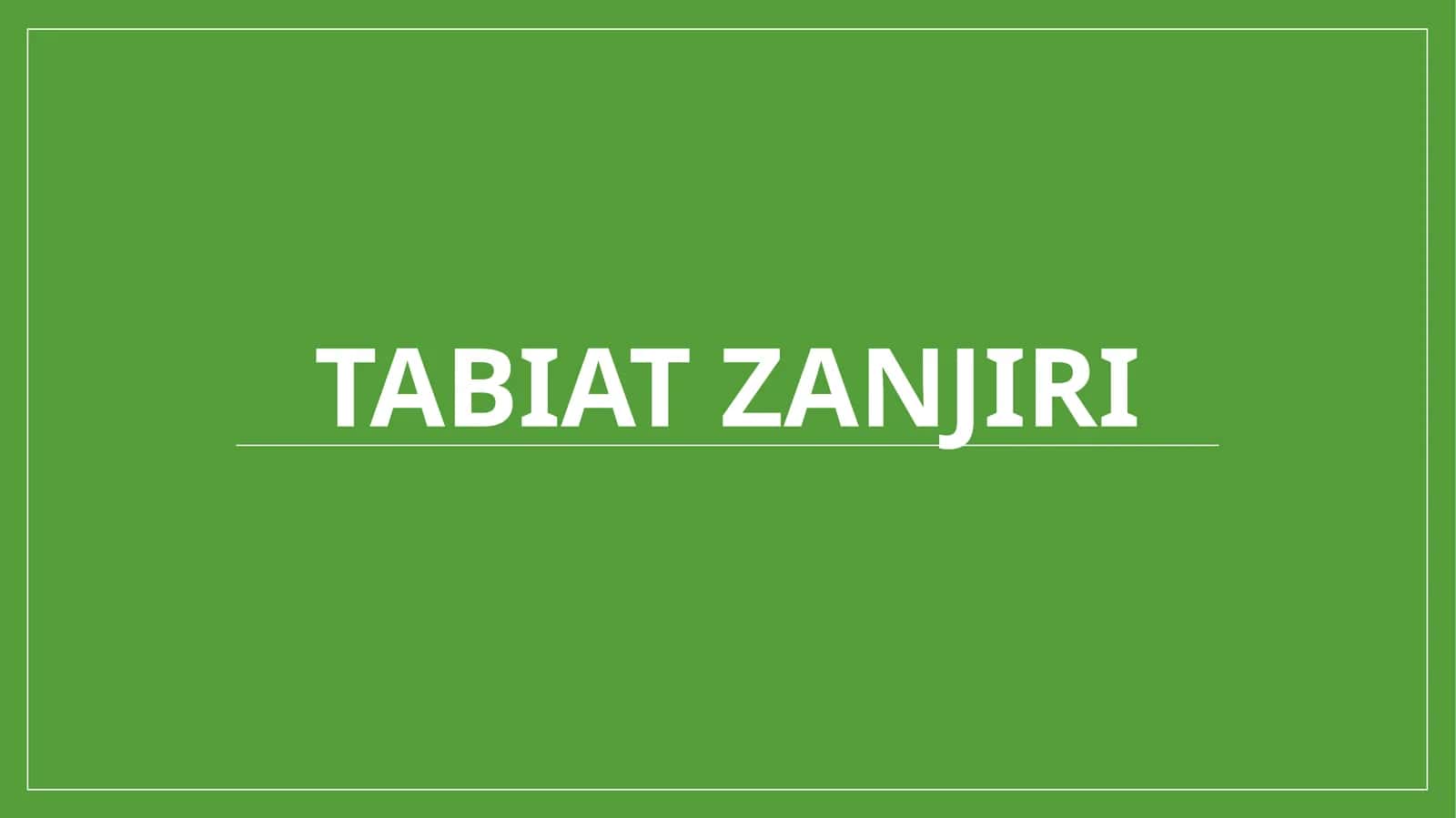 Tabiatzanjiri 1